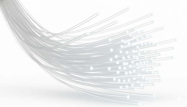 Various types of optical fibers